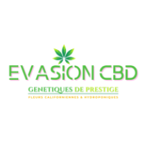 LOGO INTRAMUROS.png LOGO INTRAMUROS.png